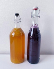 Kombucha - trà lên men có ga cách làm