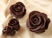 Hướng dẫn cách làm hoa hồng bằng chocolate