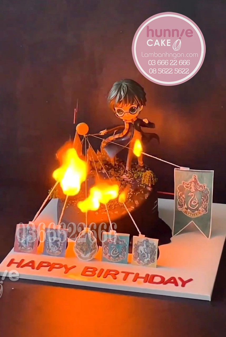 Bánh sinh nhật đốt lửa Harry potter và cây đũa phép thuật đẹp 10495 - Bánh ngon đẹp